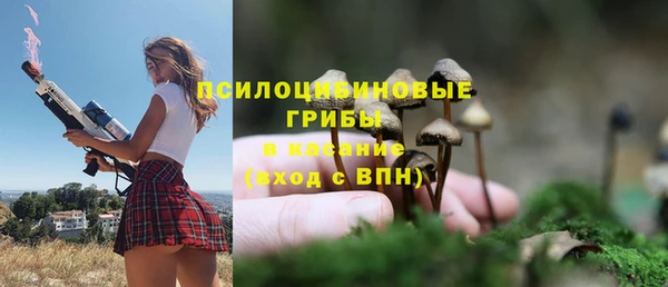 дурь Алексин