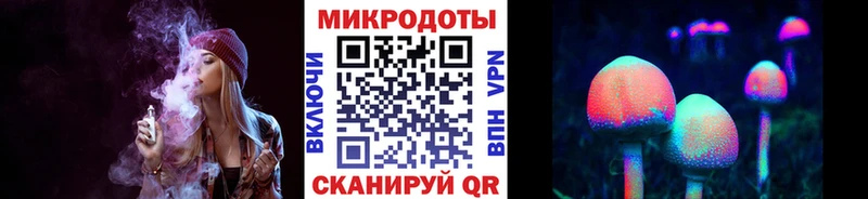 цена   Клин  Псилоцибиновые грибы мицелий 