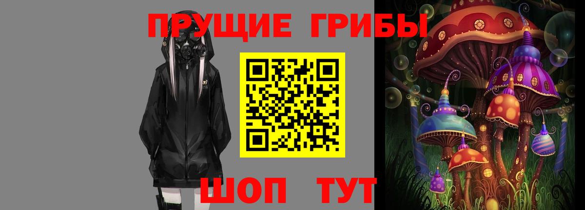 Галлюциногенные грибы прущие грибы  Вход с VPN  Клин 